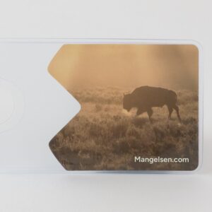 “A Summer Morning” National Park Pass Sleeve – bison at dawn in Yellowstone National Park, by Thomas D. Mangelsen