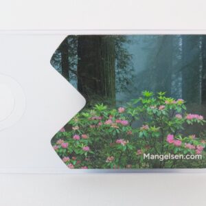“Among the Redwoods” National Park Pass Sleeve – rhododendrons in Redwood National Park, by Thomas D. Mangelsen