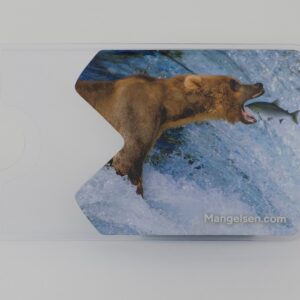 “Catch of the Day” National Park Pass Sleeve – brown bear catching salmon in Katmai National Park, by Thomas D. Mangelsen