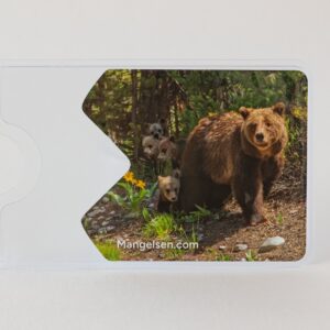 “The Gift of Grizzly 399” National Park Pass Sleeve – Grizzly 399 with cubs, Grand Teton National Park, by Thomas D. Mangelsen