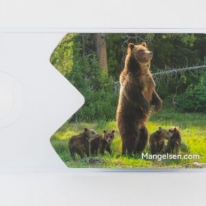 “The Guardian – 399” National Park Pass Sleeve – Grizzly 399, Grand Teton National Park, by Thomas D. Mangelsen