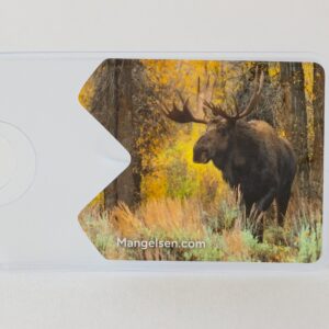 “The Mystic” National Park Pass Sleeve – wolf portrait, Grand Teton National Park, by Thomas D. Mangelsen